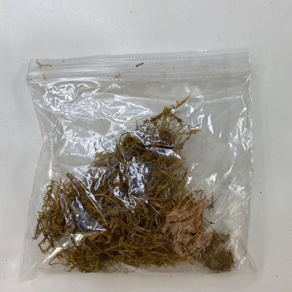 Handcrafted Nativity Scene Set With Figurines & Accessories - Picture 9 of 13